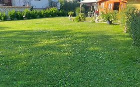Rege Apartman